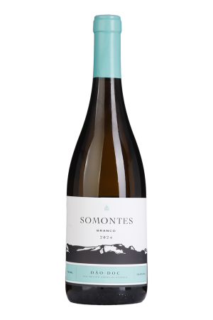 Somontes Branco 2024