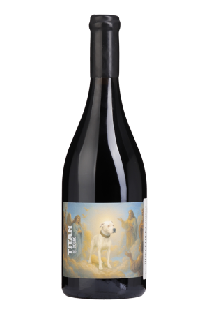 Titan of Douro Gran Reserva Tinto 2022