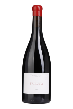 Tributo Tinto 2023