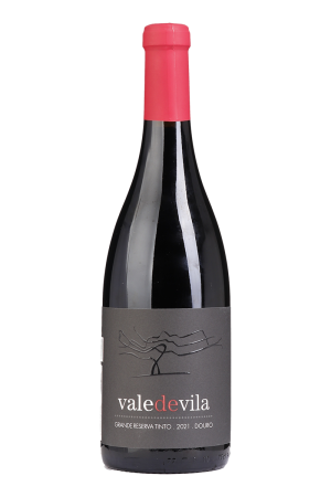 Vale de Vila Grande Reserva Tinto 2021