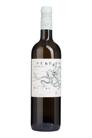 Vendaval White 2025