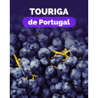 Pack Touriga de Portugal (1xPlansel V. Novas+1xPiloto+1xQuinta dos Termos+1xQuinta da Lapa+1xCabriz+1x100 Hectares)