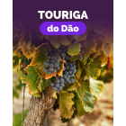 Pack Touriga do Dão (1xBella+1xTaboadella+1xMOB)
