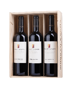 Conjunto Roquette & Cazes Tinto 2022 (Cx. Madeira 3)