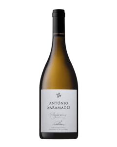 António Saramago Superior Branco 2017
