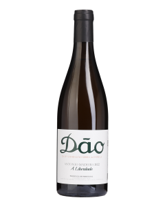 António Madeira A Liberdade Branco 2022