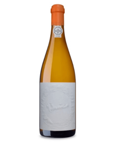 Conceito Único Branco 2019