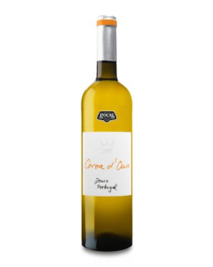 Coroa D´Ouro Branco 2019