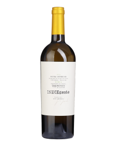 Indiegente Síria Branco 2024