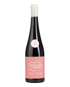 Infinitude Indie Pinot Noir Tinto 2024