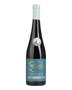 Infinitude Sémillon Branco 2023