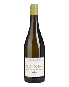 Musgo Branco 2024