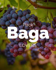 Pack Baga Lovers (2x Marquês de Marialva + 1x Casa de Saima + 1x Adega de Penalva + 1x Rominha + 1x Vallado Lady Baga)