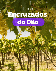 Pack Encruzados do Dão (1xSoito+1xMonteirinhos Avô António+1xQ. do Carvalhão Torto+1xQ. das Queimas+1xTaboadella +1xQ. dos Roques)
