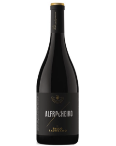 Paulo Laureano Alfrocheiro Tinto 2018