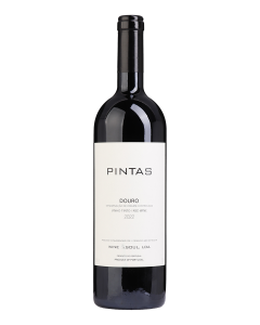 Pintas Tinto 2022