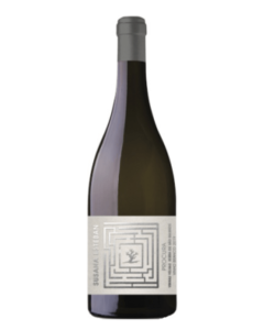 Procura Vinhas Velhas Branco 2021