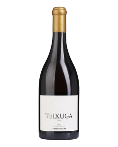 Teixuga Branco 2019