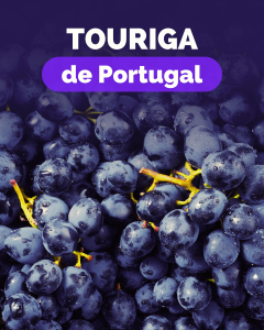 Pack Touriga de Portugal (1xPlansel V. Novas+1xPiloto+1xQuinta dos Termos+1xQuinta da Lapa+1xCabriz+1x100 Hectares)