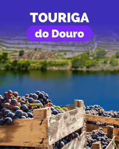 Pack Touriga do Douro (2xIsento+2xTeoria+2xVentozelo)