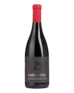 Vale de Vila Grande Reserva Tinto 2022