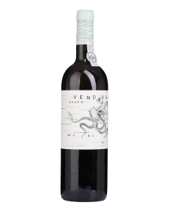 Vendaval Branco 2024