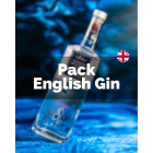 Pack English Gin (1x Bulldog + 1x Martin Miller´s)