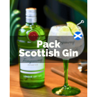 Pack Scottish Gin (1x Tanqueray Dry + 1x Hendricks)