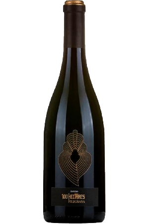 100 Hectares Filigrana Tinto 2019