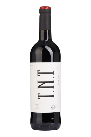 Almeida Garrett TNT Tinto 2019