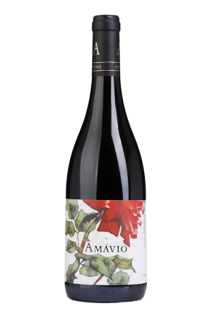 Amávio Rode 2018