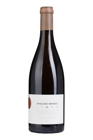 Anselmo Mendes Tempo Branco 2020
