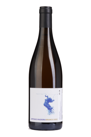 António Madeira Branco 2022
