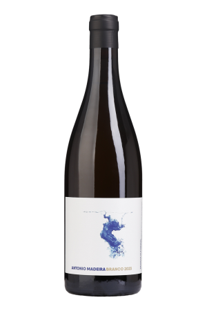 António Madeira Branco 2023