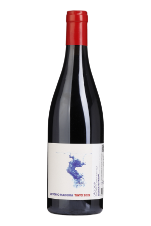 António Madeira Tinto 2022