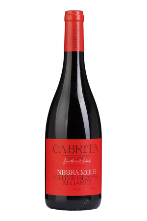Cabrita Negra Mole Tinto 2024