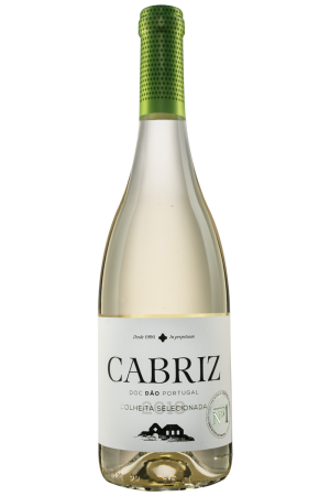 Cabriz Colheita Selecionada Weißwein 2023
