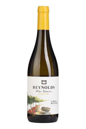 Carlos Reynolds Branco 2024