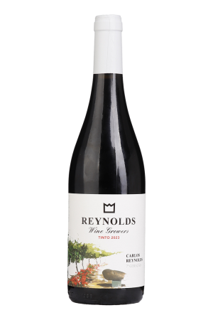 Carlos Reynolds Tinto 2023