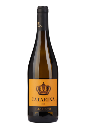 Catarina Branco 2024