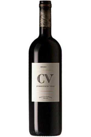 CV Curriculum Vitae Rotwein 2015