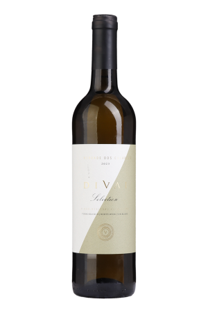 Divai Selection Weißwein 2023