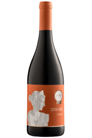 Diwine Tinto 2020