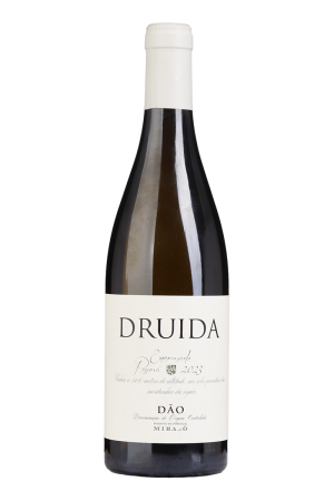 Druida Reserva Encruzado Branco 2023