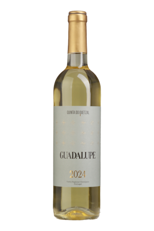 Guadalupe Branco 2024