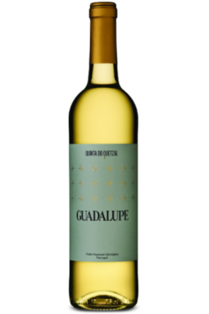 Guadalupe Branco 2022