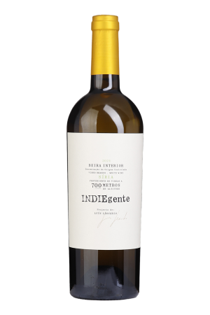 Indiegente Síria Branco 2024