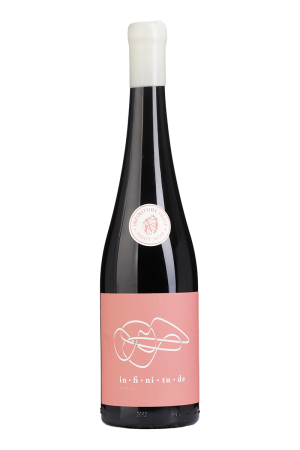 Infinitude Indie Pinot Noir Tinto 2024