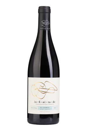 Infinitude Pinot Noir Rotwein 2022