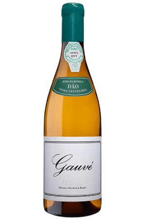 M.O.B. Gauvé Branco 2019